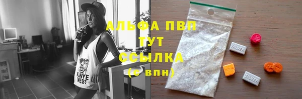 сатива Володарск