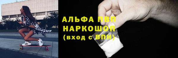СК Волосово
