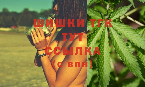 сатива Володарск