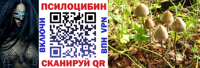 Купить где  Бирюсинск  Псилоцибиновые грибы GOLDEN TEACHER 