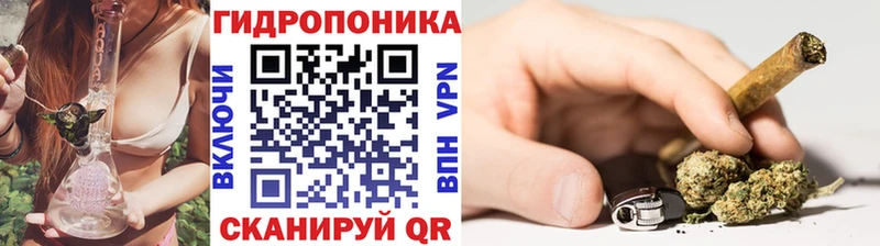 Шишки марихуана марихуана  Купить где  Бирюсинск 
